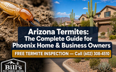 Arizona Termites: The Complete Guide for Phoenix Home & Business Owners