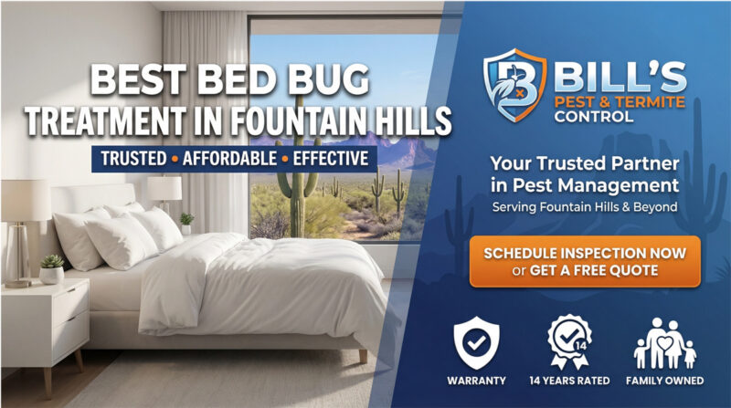 Bed Bug Treatment Fountain Hills Az