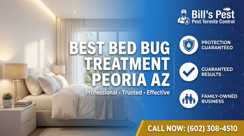 Best Bed Bug Treatment Peoria Az