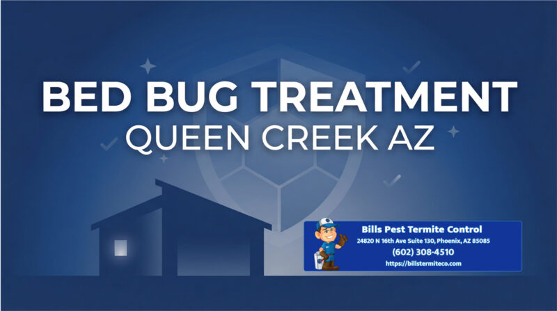 Bed Bug Treatment Queen Creek Az