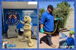 Bills Pest Termite Control - Pest Control in Phoenix