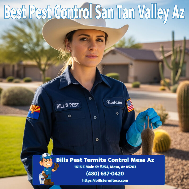 Best Pest Control San Tan Valley Az