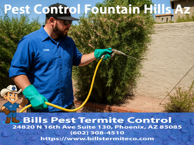 Pest Control Fountain Hills Az | #1 Rated Local Exterminator