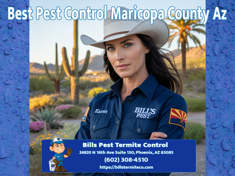 Best Pest Control Maricopa County Az