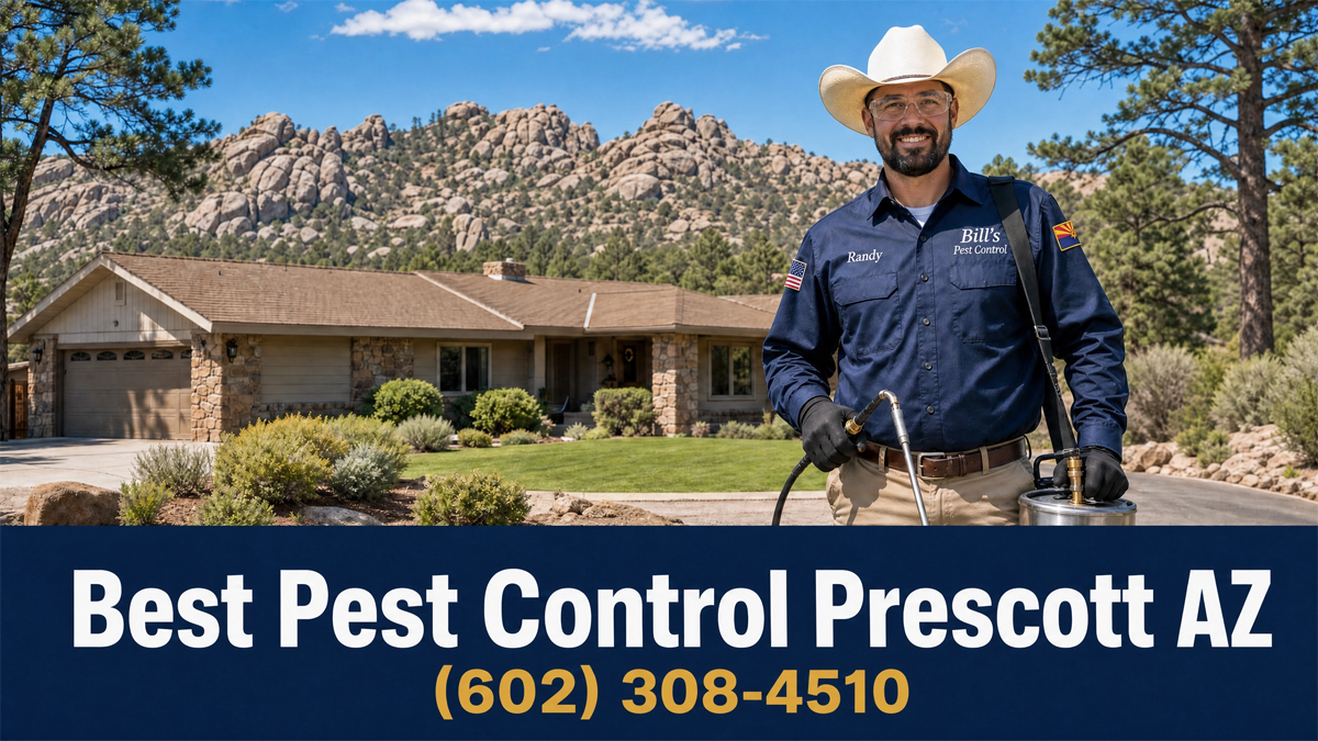 Best Pest Control Prescott Az