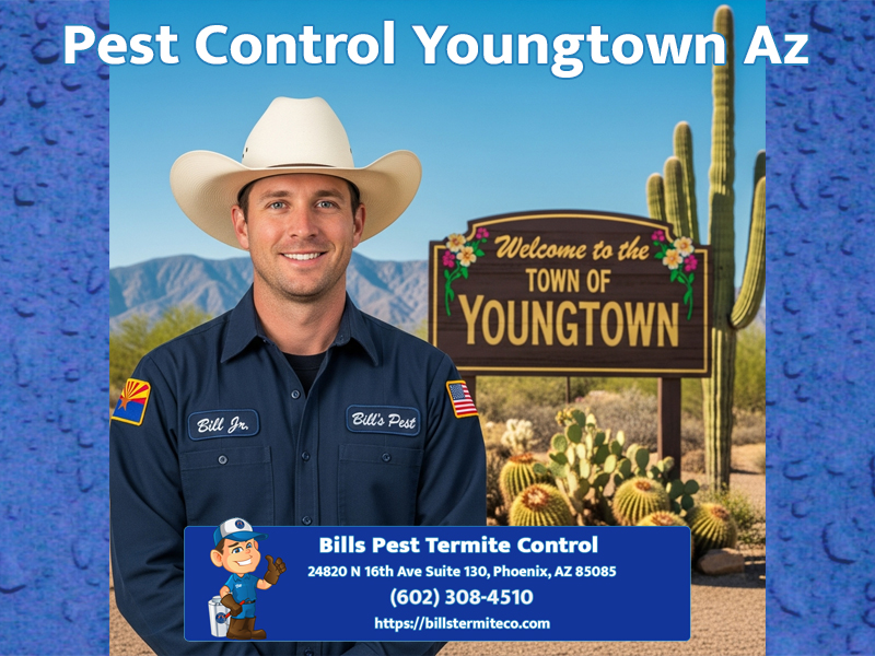 Best Pest Control Youngtown Az