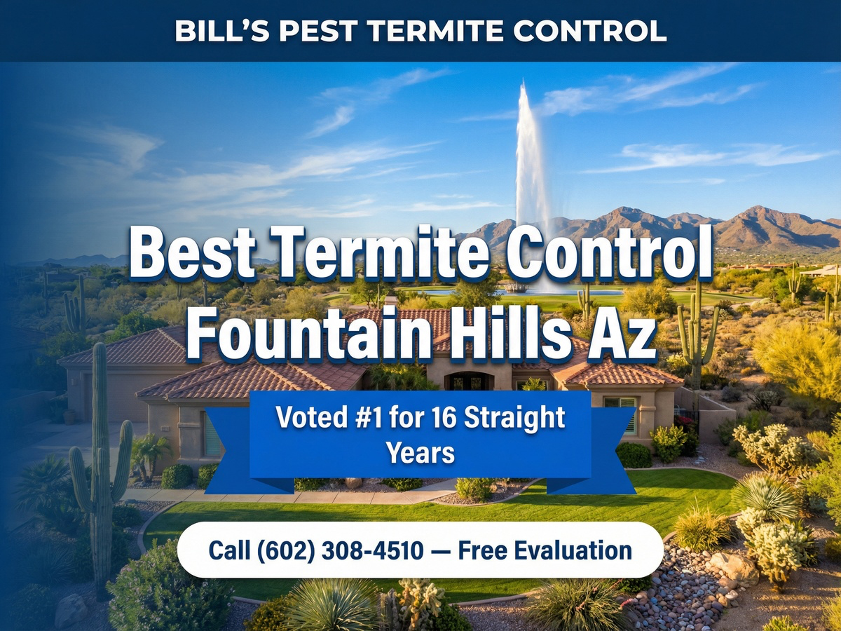 Best Termite Control Fountain Hills Az