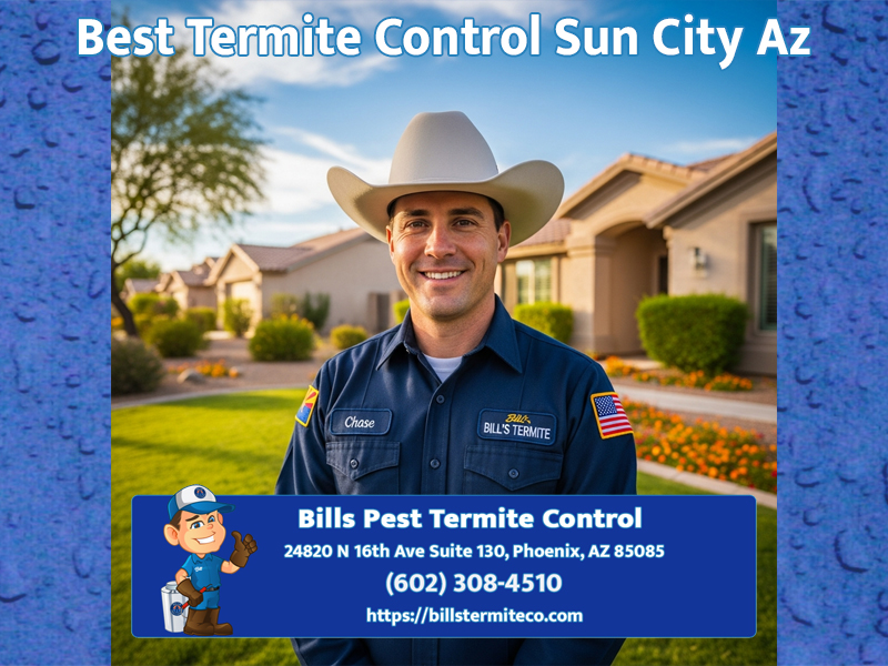 Best Termite Control Sun City Az