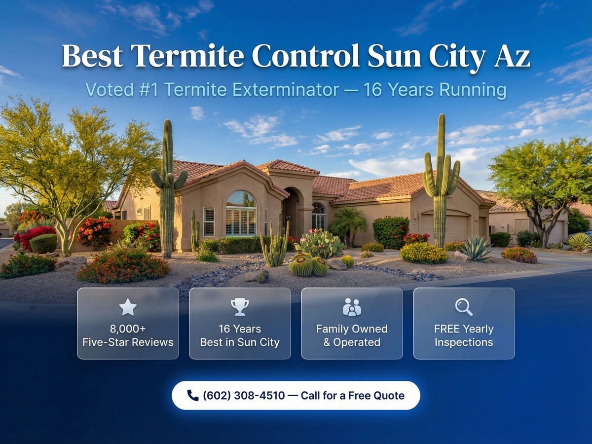 Best Termite Control Sun City Az