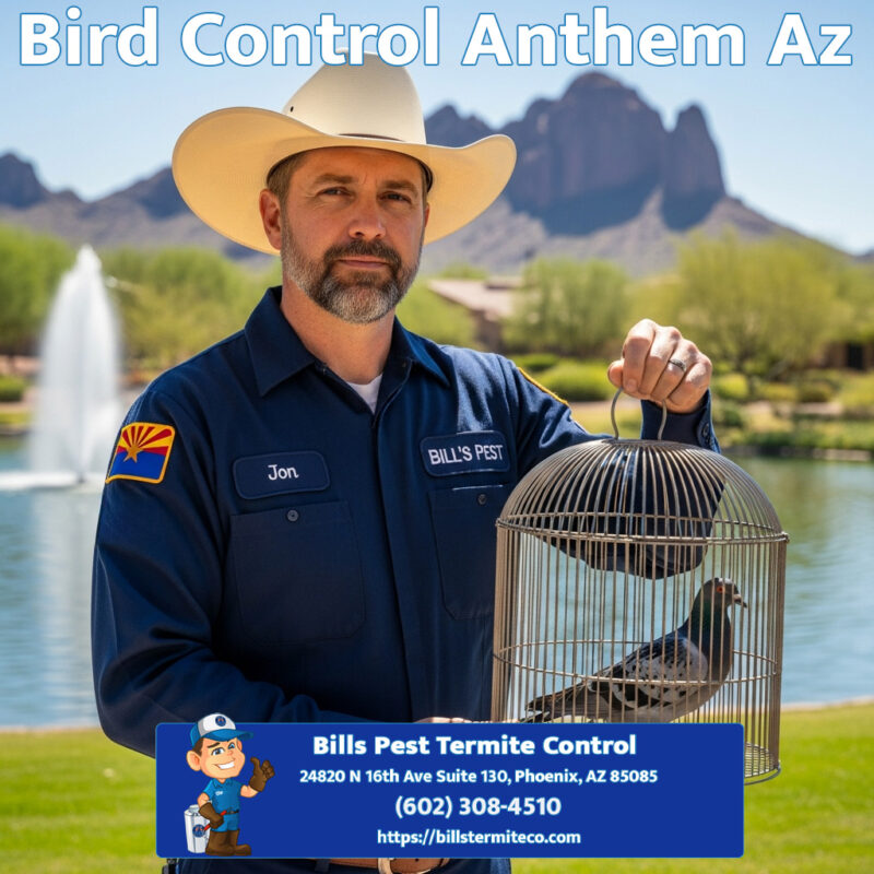 Bird Control Anthem Az