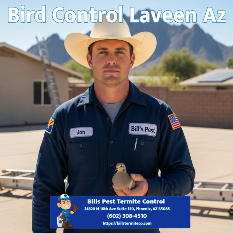 Bird Control Laveen Az