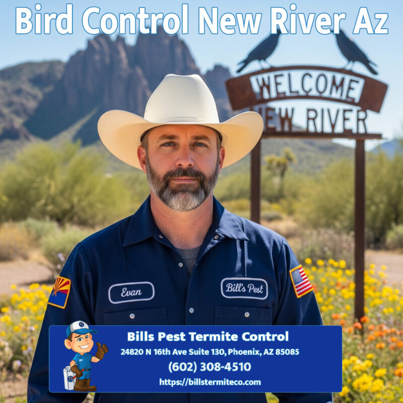 Bird Control New River Az