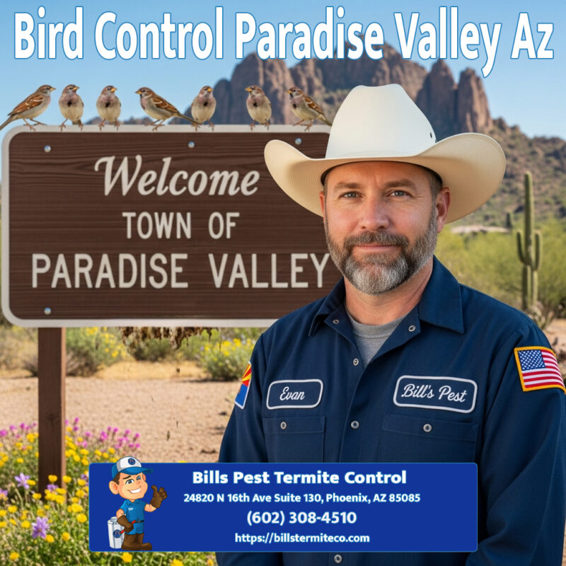 Bird Control Paradise Valley Az