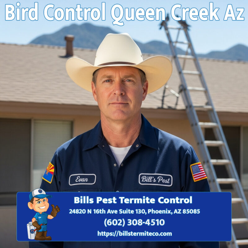 Bird Control Queen Creek Az