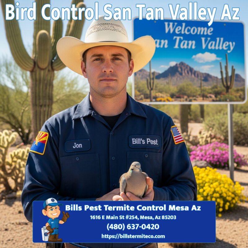 Bird Control San Tan Valley Az