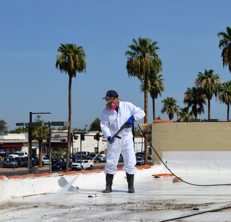 Affordable Bird Pest Control Apache Junction Az