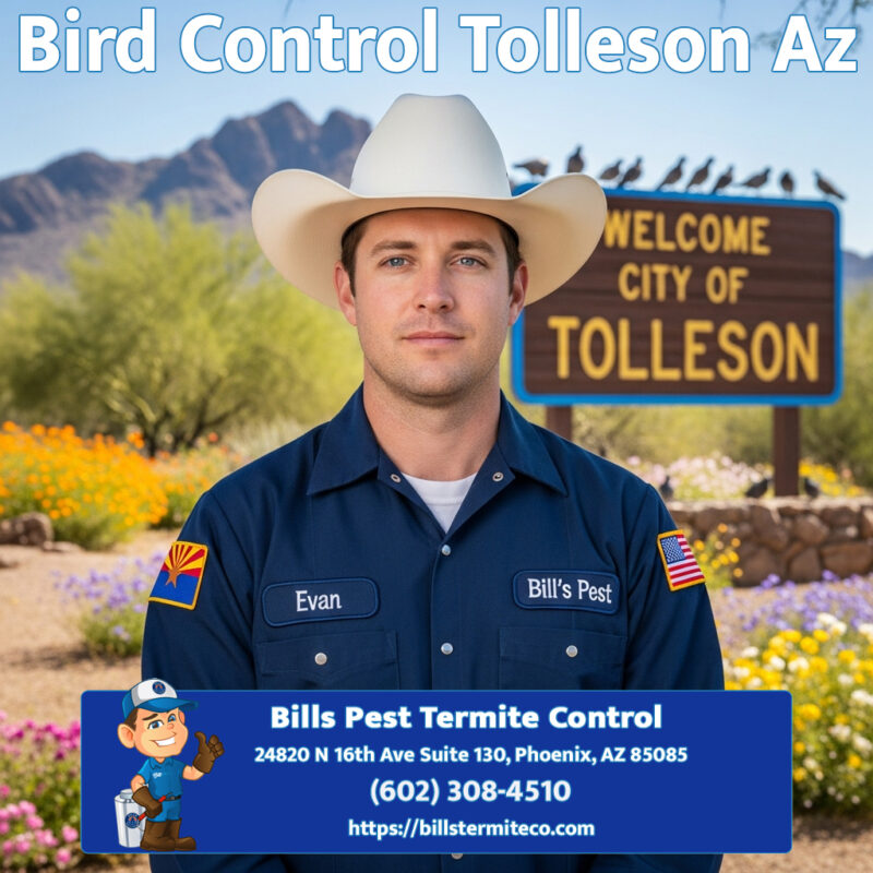 Bird Control Tolleson Az