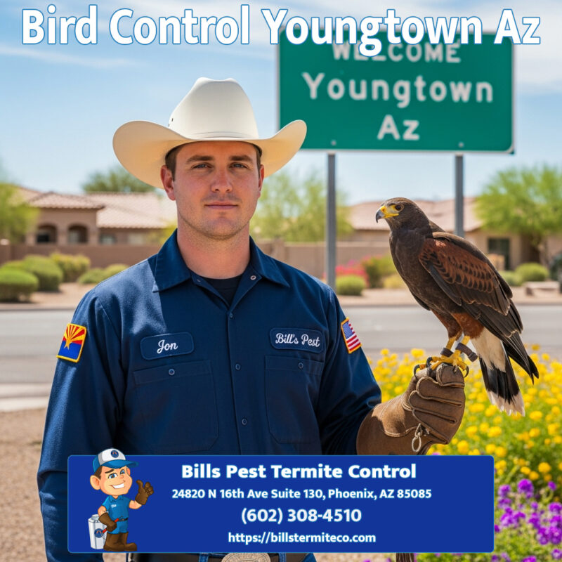 Bird Control Youngtown Az