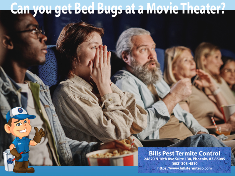 Can you get Bed Bugs at a Movie Theater? Bills Pest Termite Control