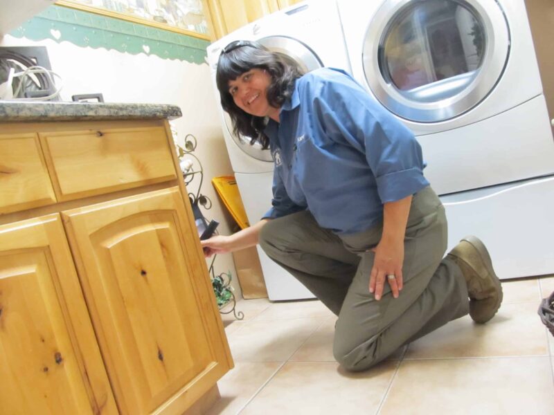 Affordable Scottsdale Pest Control Service