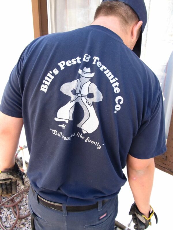 Drywood termite treatment