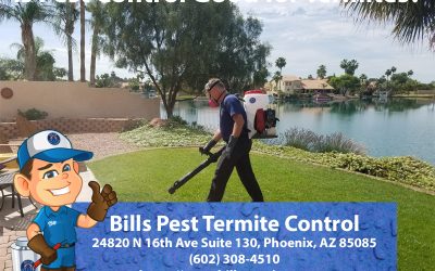 Is Pest Control Good for Termites?