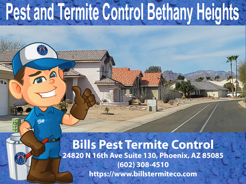 Best Pest and Termite Control Bethany Heights Az
