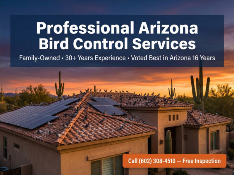 Professional Arizona Bird Control Services