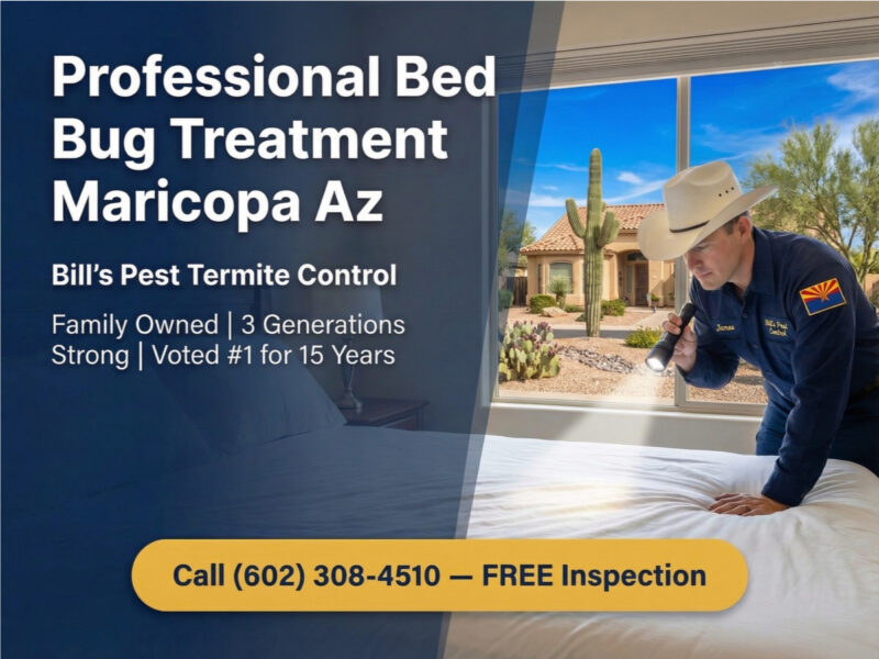Professional Bed Bug Treatment Maricopa Az