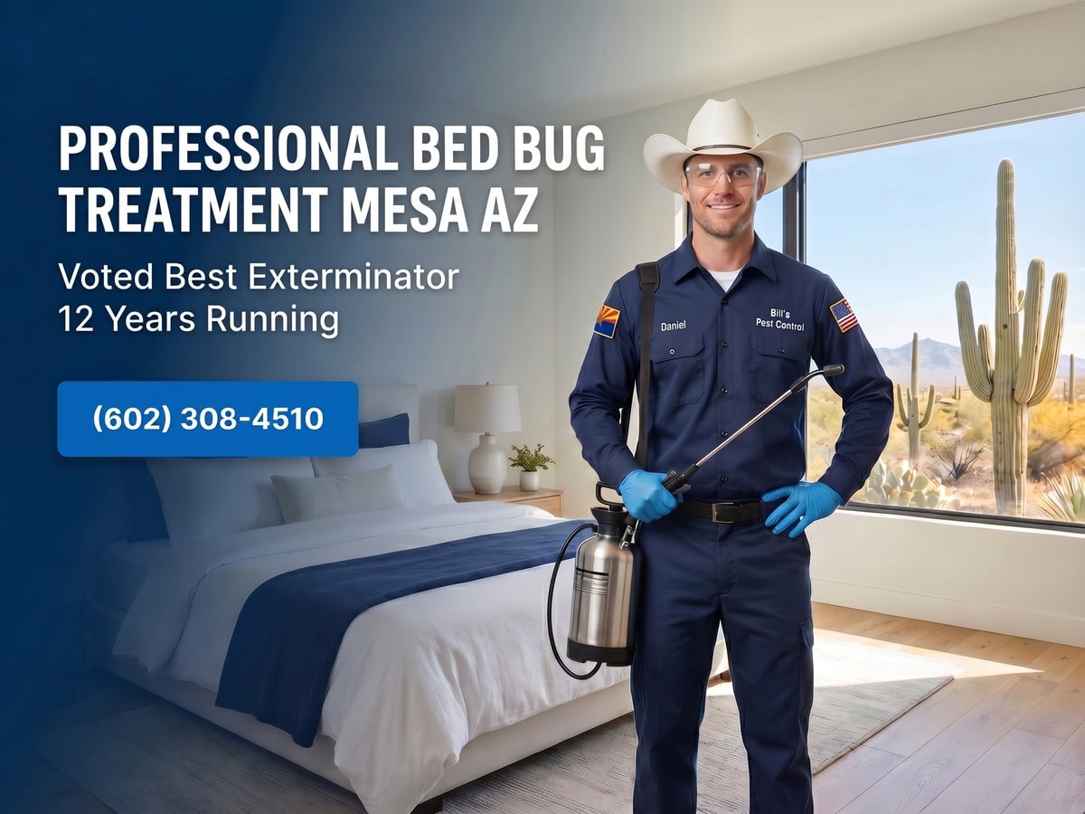 Professional Bed Bug Treatment Mesa Az