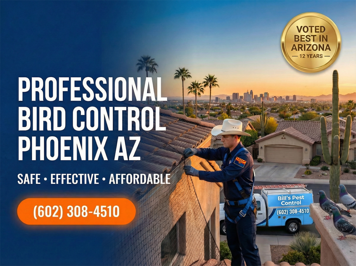 Professional Bird Control Phoenix Az