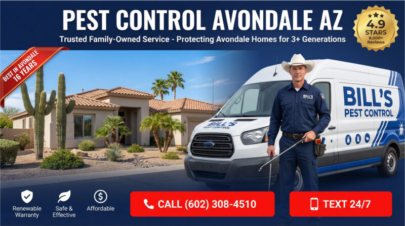 Pest Control Avondale Az | Bills Pest Termite Control