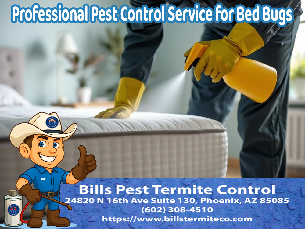 Professional Pest Control Service for Bed Bugs - Phoenix Az