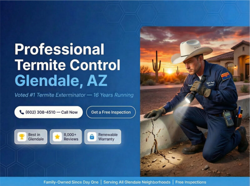 Professional Termite Control Glendale Az