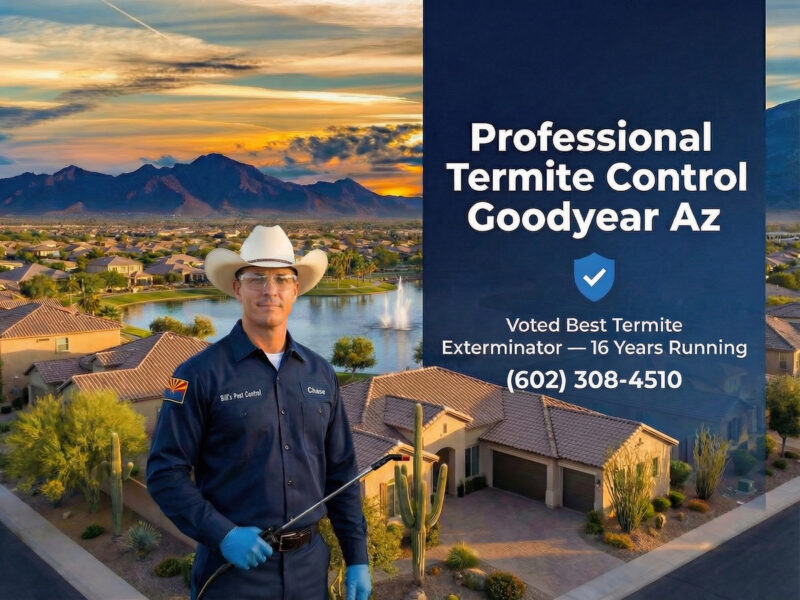 Professional Termite Control Goodyear Az