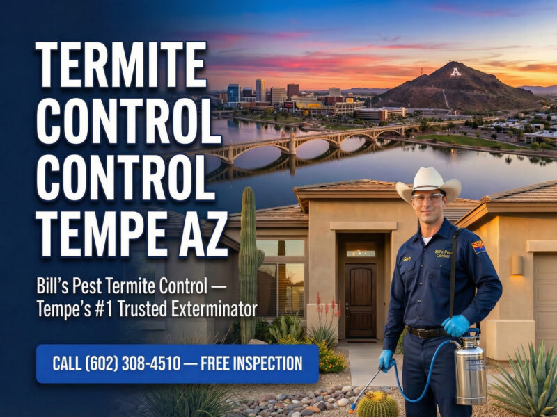 Professional Termite Control Tempe Az