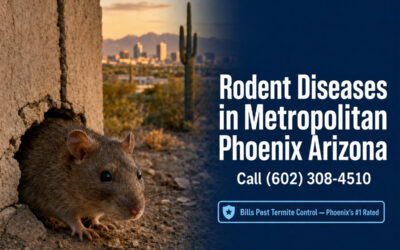 Rodent Diseases in Phoenix: What Every Property Owner Must Know