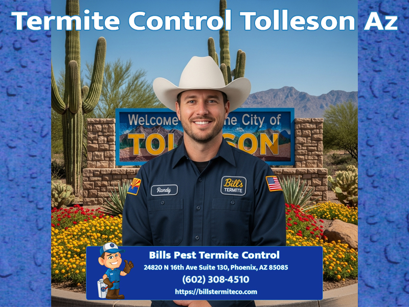 Termite Control Tolleson Az