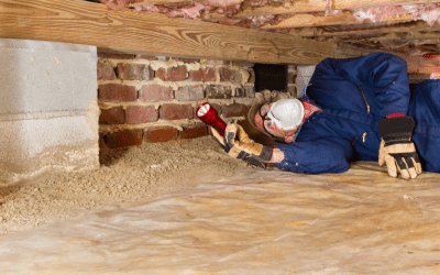 How Long Does Termite Treatment Last in Phoenix, AZ?