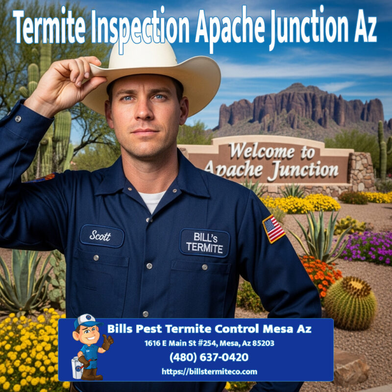 Best Termite Inspection Apache Junction Az