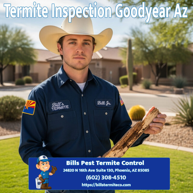 Termite Inspection Goodyear Az