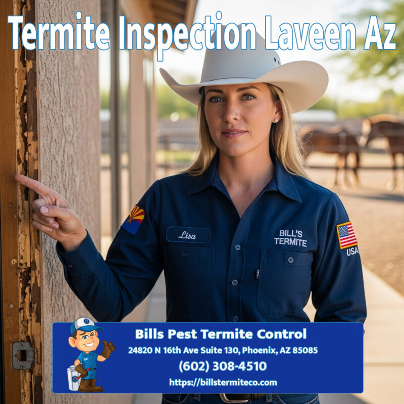 Termite Inspection Laveen Az