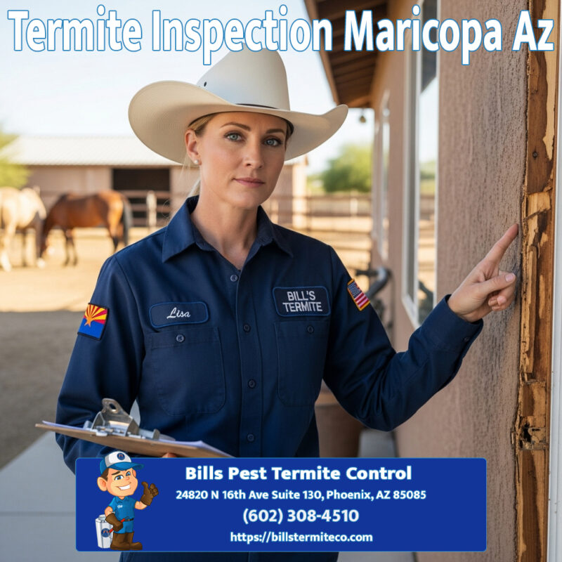 Best Termite Inspection Maricopa County Az