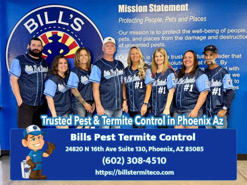 Trusted Pest & Termite Control in Phoenix