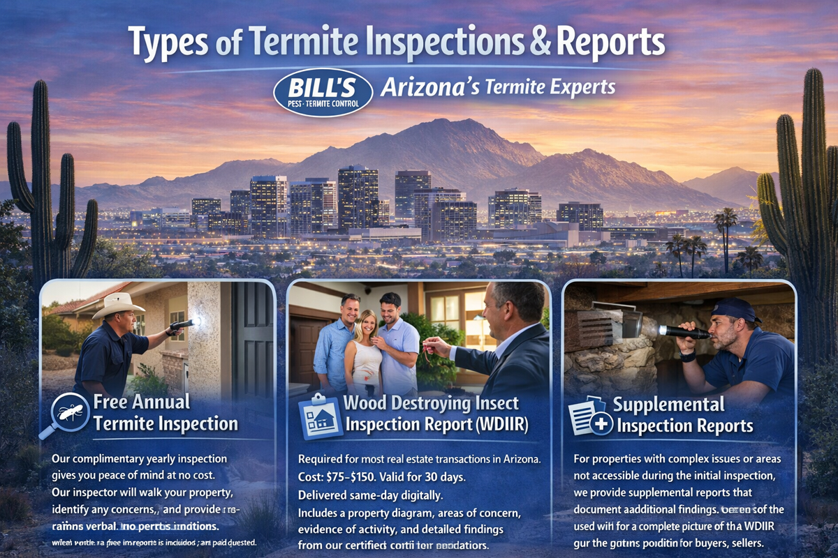 Free Apache Junction Termite Inspection