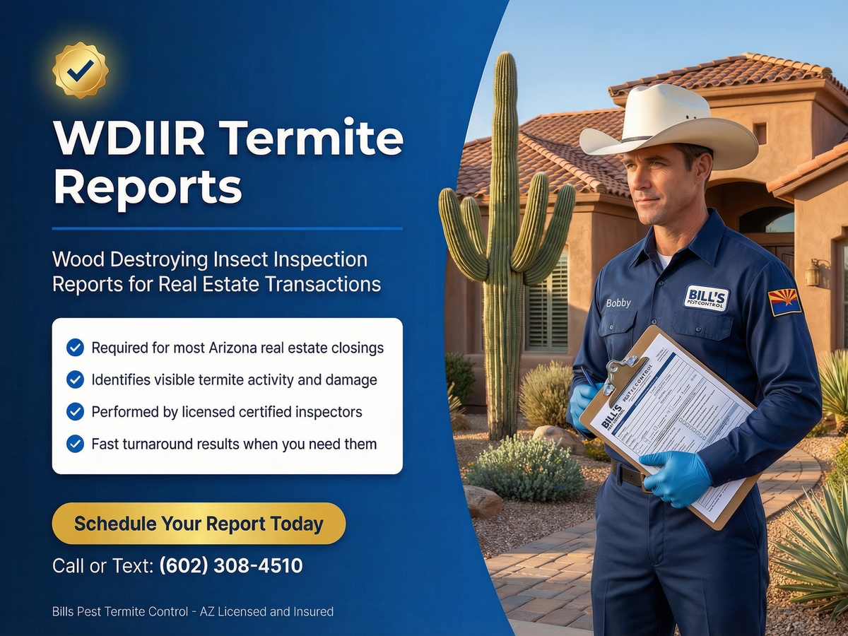 WDIIR Termite Inspection Reports in Phoenix Arizona